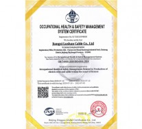 职业健康安全管理体系证书英文版